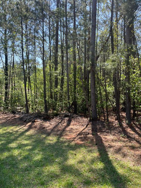 Vacant Land For Sale - L14 B39 Antioch Drive<br/> Mccormick County, McCormick, SC 29835
