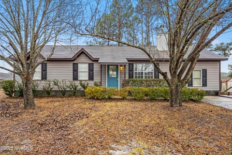 Homes For Sale - 203 Savanna Court<br/> Onslow County, Hubert, NC 28539