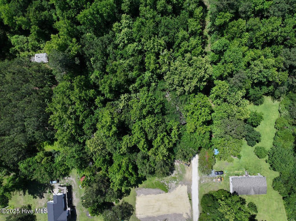 Photo of 0 Off Nc Highway 210, Rocky Point, NC 28457 (MLS # 100520184)