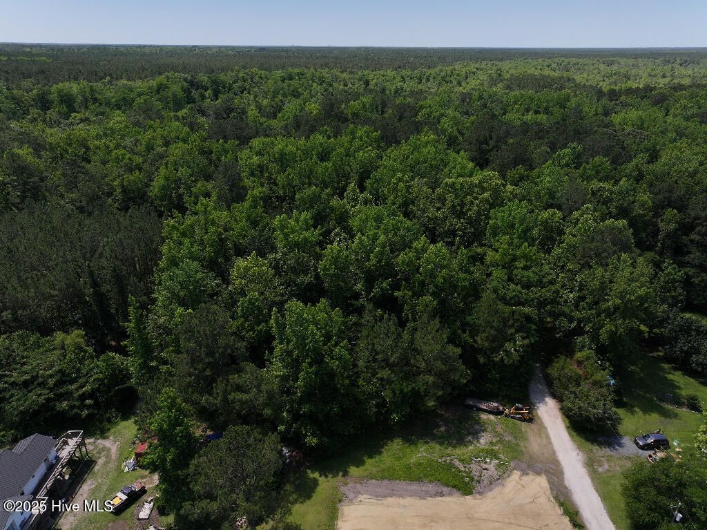 Photo of 0 Off Nc Highway 210, Rocky Point, NC 28457 (MLS # 100520184)