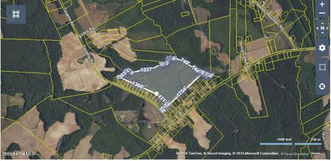 Vacant Land For Sale - 0000 Tippette Road<br/> Enfield, NC 27823