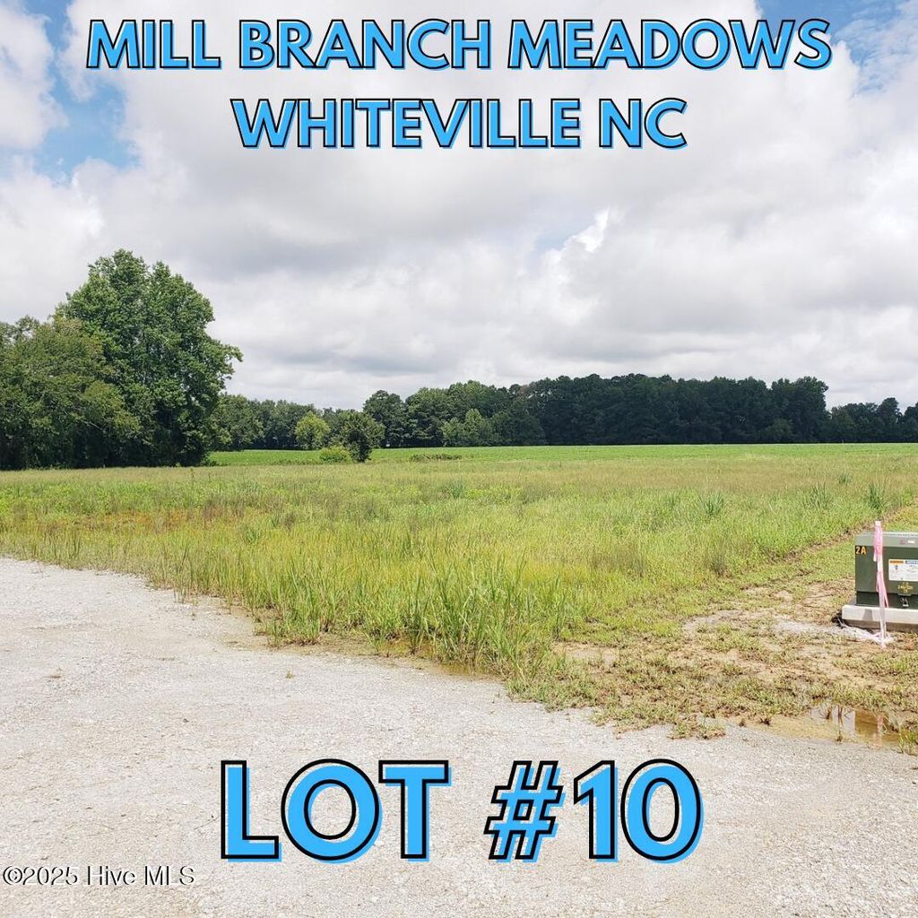 Photo of 104 Mill Branch Drive, Whiteville, NC 28472 (MLS # 100562145)