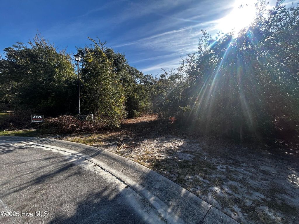 Photo of 110 Brandon Avenue, Hubert, NC 28539 (MLS # 100490825)