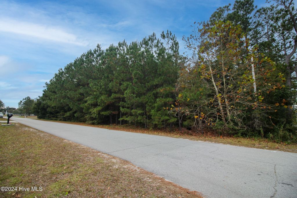 Photo of 861 Roberts Road, Newport, NC 28570 (MLS # 100476978)