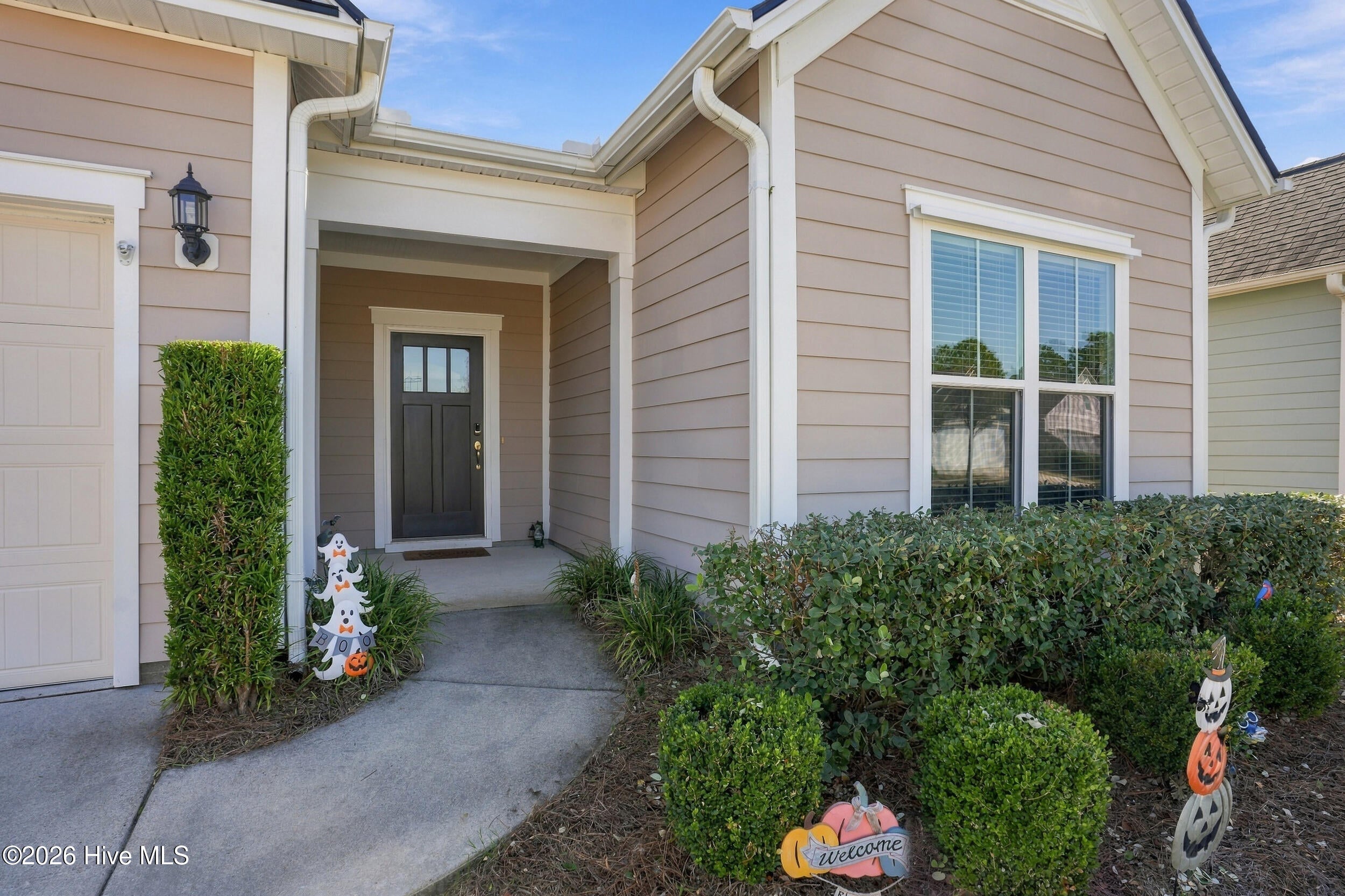 556 Lyrebird Avenue