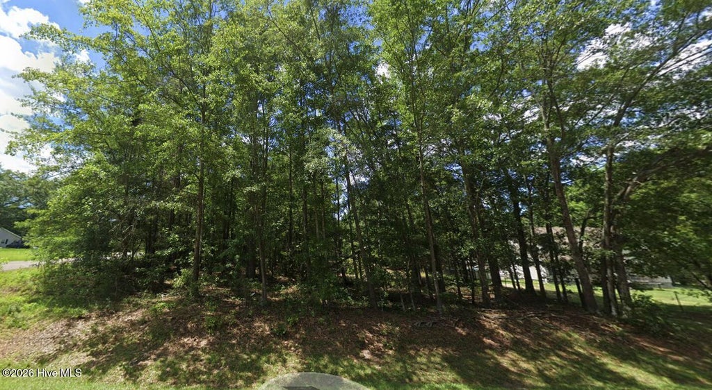 Photo of 00 Ravenwood Road, Rockingham, NC 28379 (MLS # 100609825)