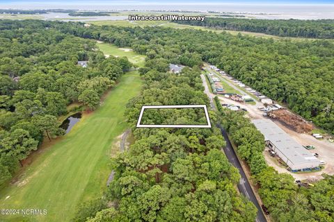 Tiny photo for 3080 Purple Finch Lane SW, Supply, NC 28462 (MLS # 100550623)