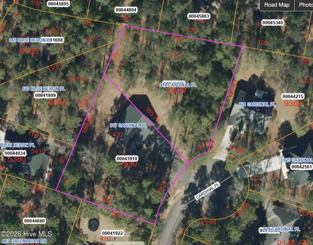 Photo of 917 Cardinal Place, Vass, NC 28394 (MLS # 100568734)