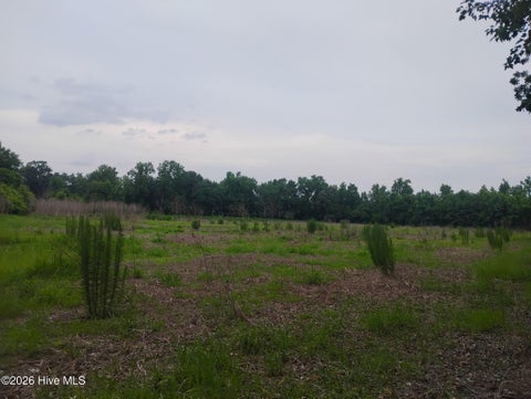 Tiny photo for 325 Brothers Lane, Jacksonville, NC 28546 (MLS # 100593862)