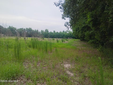 Tiny photo for 325 Brothers Lane, Jacksonville, NC 28546 (MLS # 100593862)