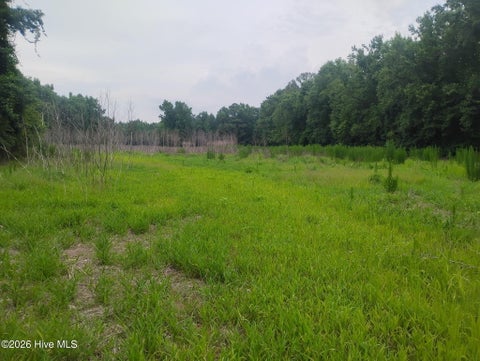 Tiny photo for 325 Brothers Lane, Jacksonville, NC 28546 (MLS # 100593862)