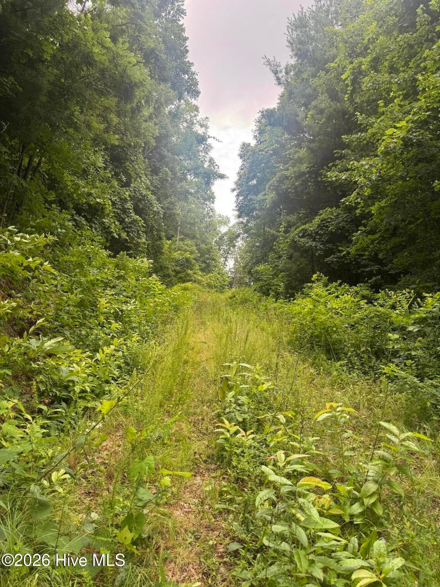 78 Lt 78 Pitch Pine Drive, Sylva, NC, 28779