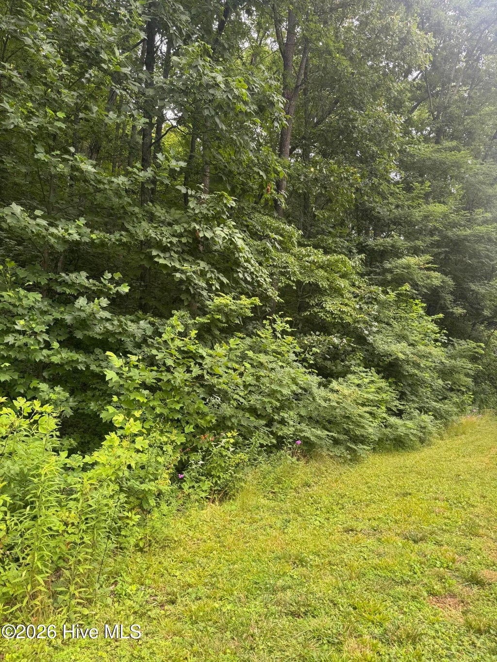 Photo of 78 Lt 78 Pitch Pine Drive, Sylva, NC 28779 (MLS # 100588119)