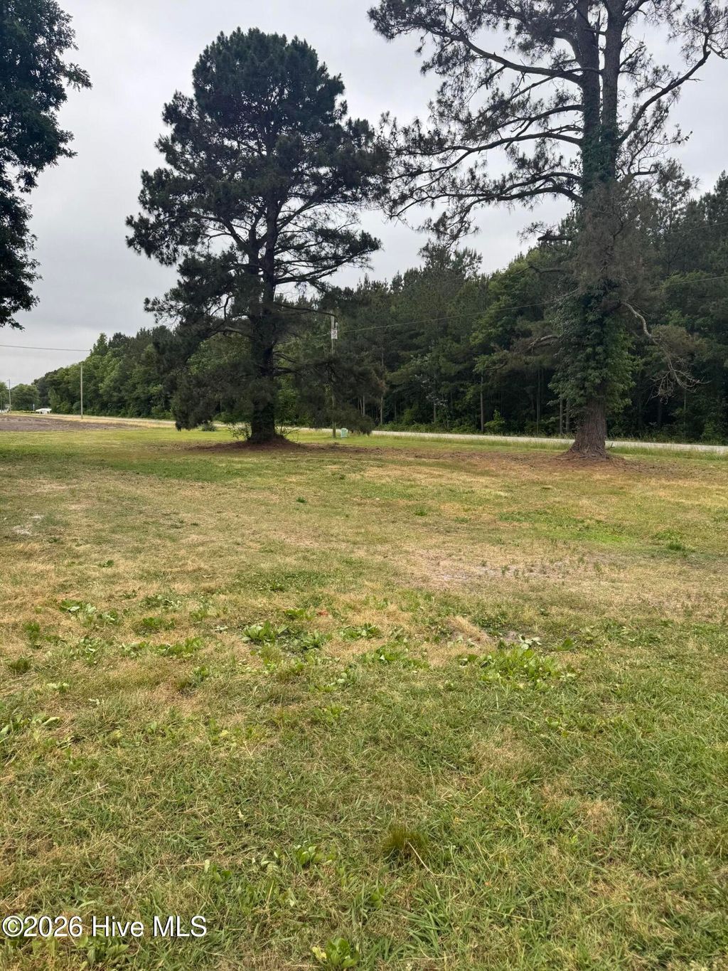 Photo of 4927 Tartts Mill Road, Wilson, NC 27893 (MLS # 100576000)