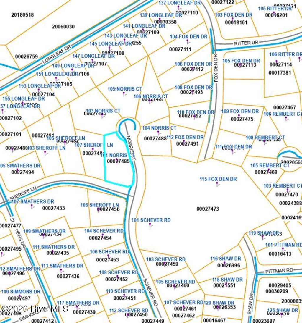 Photo of 101 Norris Court, Seven Lakes, NC 27376 (MLS # 100562287)