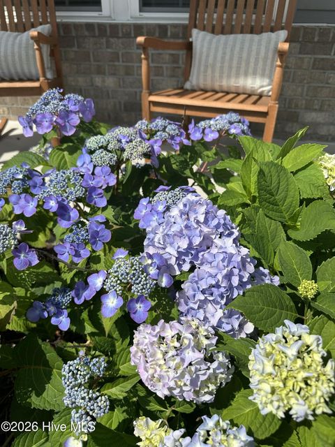 Tiny photo for 63 Thrush Trail, Hampstead, NC 28443 (MLS # 100557383)