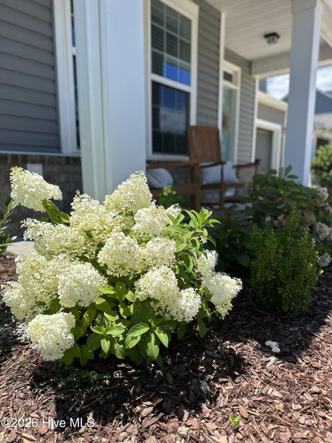 Tiny photo for 63 Thrush Trail, Hampstead, NC 28443 (MLS # 100557383)