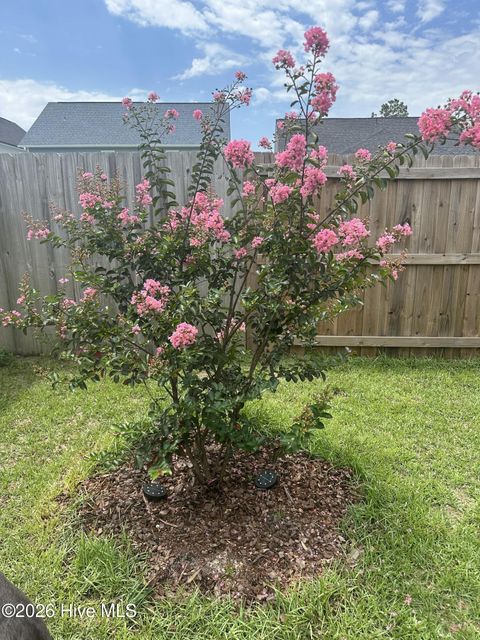 Tiny photo for 63 Thrush Trail, Hampstead, NC 28443 (MLS # 100557383)