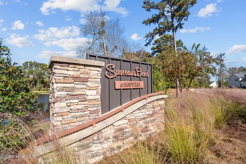 Tiny photo for 63 Thrush Trail, Hampstead, NC 28443 (MLS # 100557383)