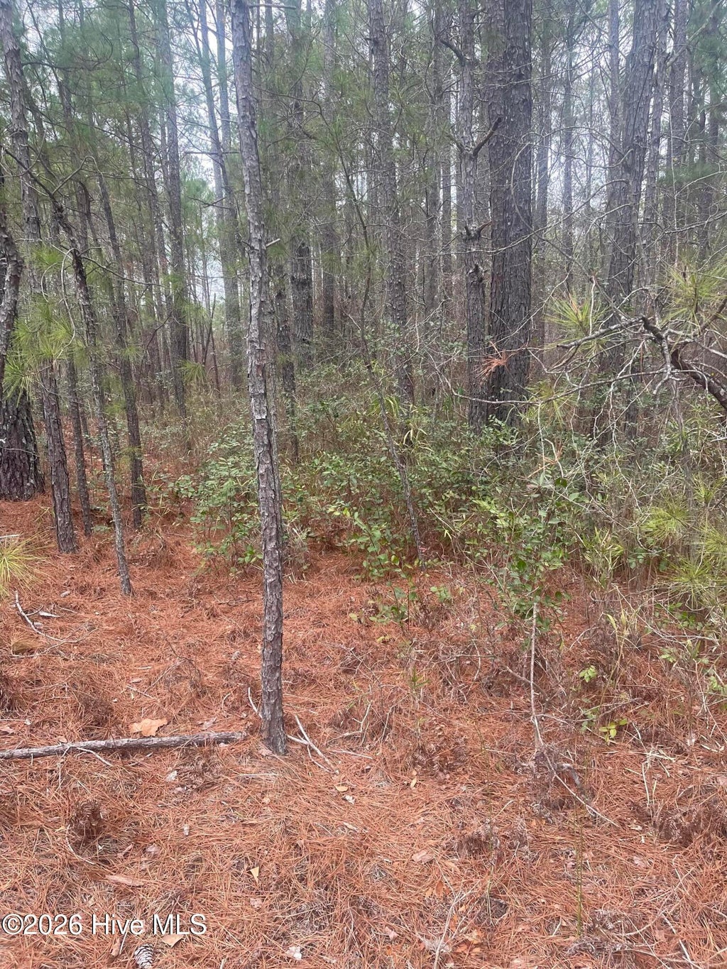 Photo of 67 Bumpy Lane, Sanford, NC 27332 (MLS # 100590915)