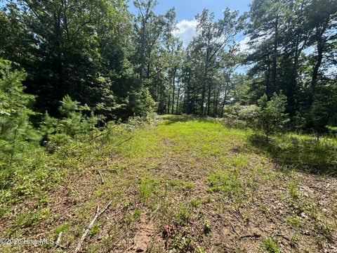 Vacant Land For Sale - 5 Majestic Mountain Trail<br/> Murphy, NC 28906