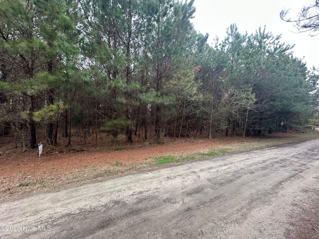 Photo of 51 Gores Drive, Clarendon, NC 28432 (MLS # 100555619)