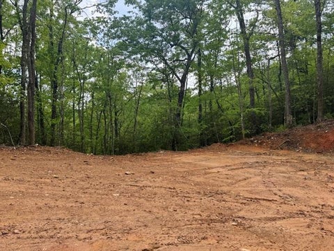 Vacant Land For Sale - 00 Tyler Lane<br/> Marble, NC 28905