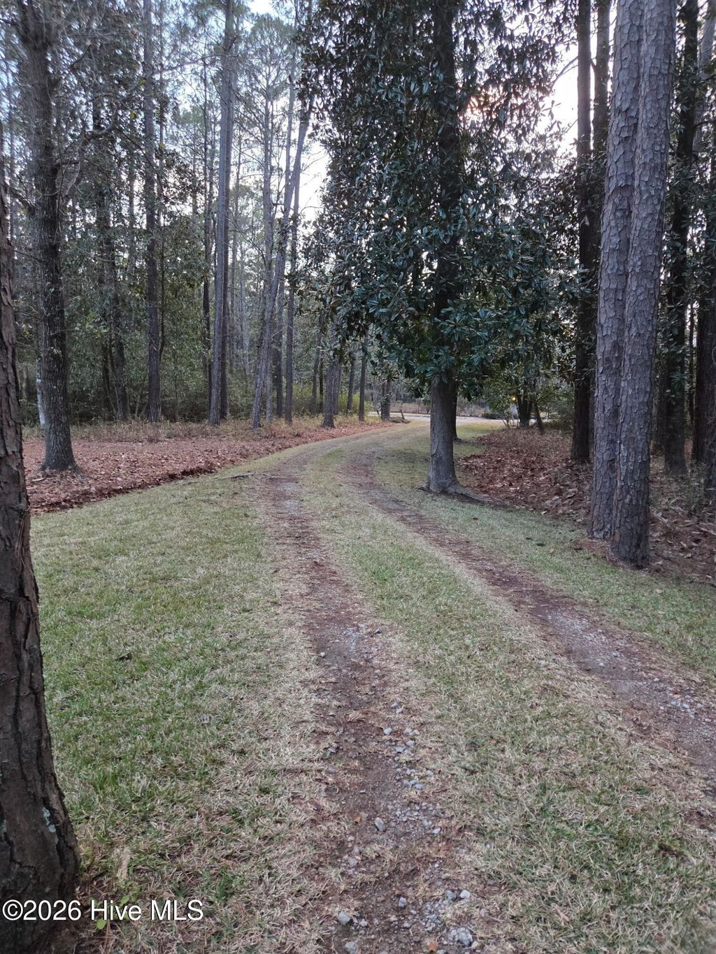 Photo of 111 Magnolia Drive, Wilmington, NC 28409 (MLS # 100554424)