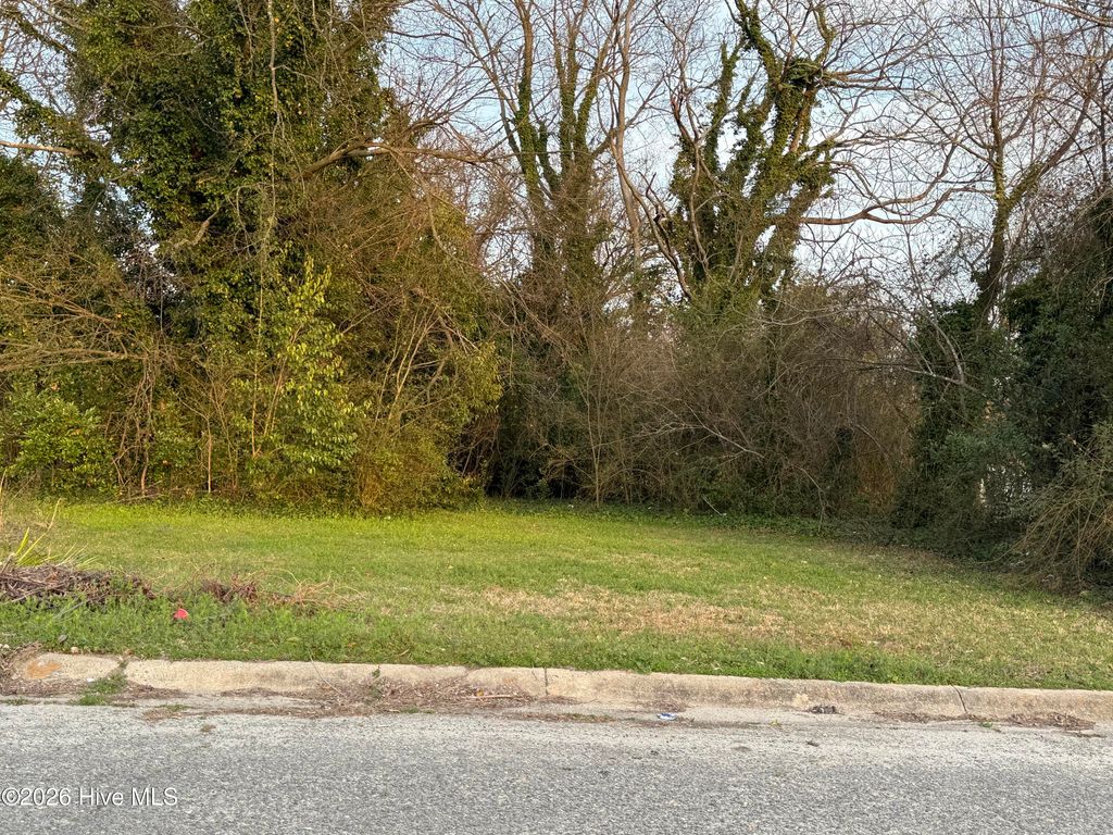 Photo of 704 Crawford Street, Goldsboro, NC 27530 (MLS # 100558868)