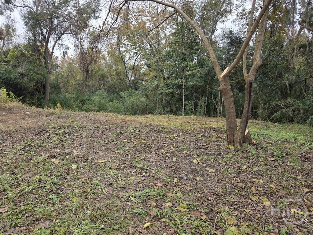 Photo of 0 Mosley Street, Savannah, GA 31404 (MLS # SA345182)