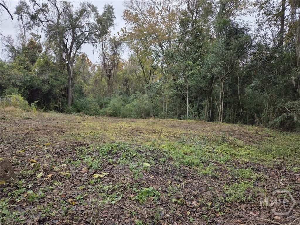 Photo of 0 Mosley Street, Savannah, GA 31404 (MLS # SA345182)