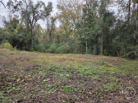 Vacant Land For Sale - Mosley Street<br/> Chatham County, Savannah, GA 31404