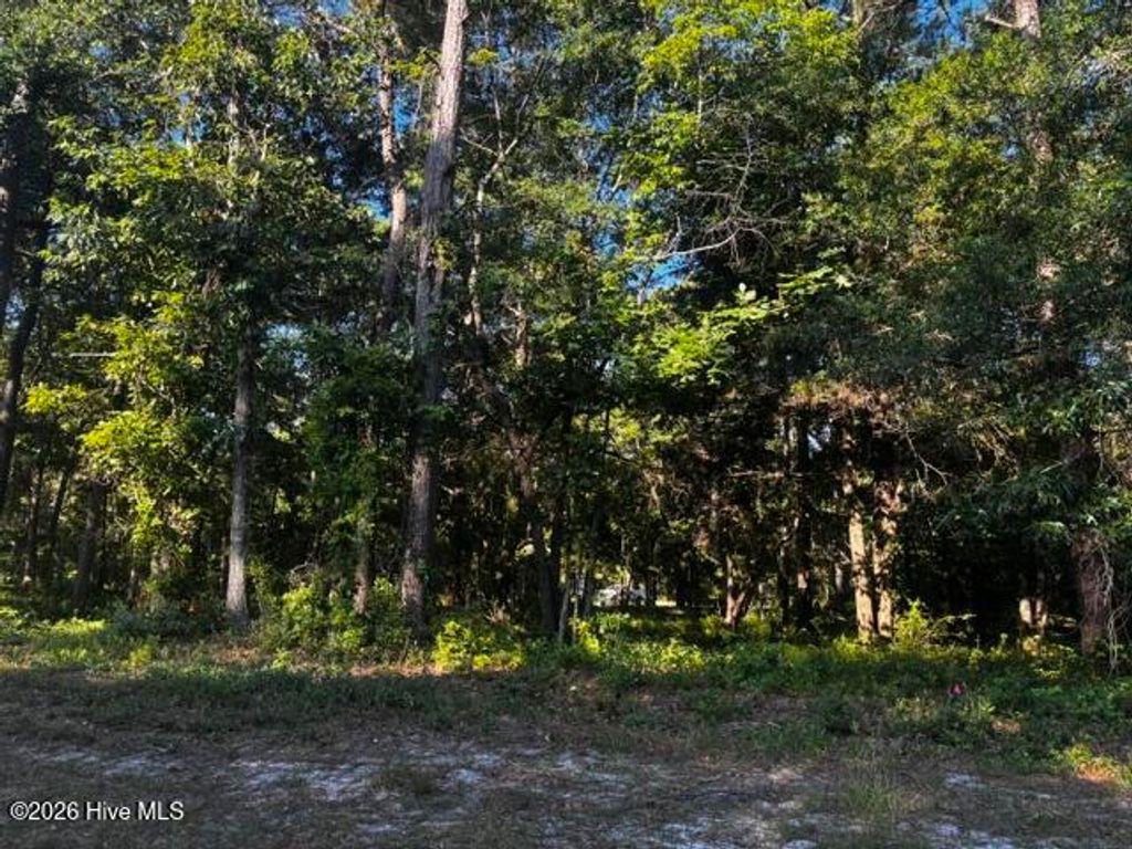 Photo of 2408 Zion Hill Rd Road SE, Bolivia, NC 28422 (MLS # 100583480)
