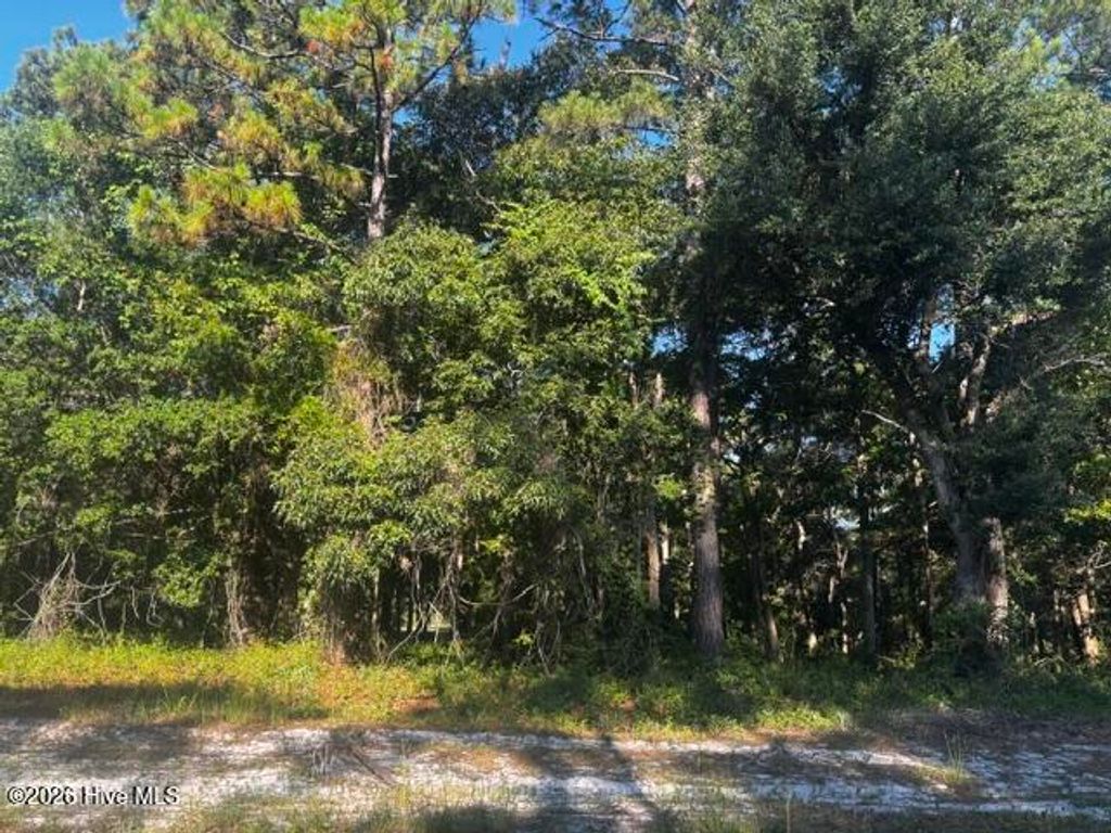 Photo of 2408 Zion Hill Rd Road SE, Bolivia, NC 28422 (MLS # 100583480)