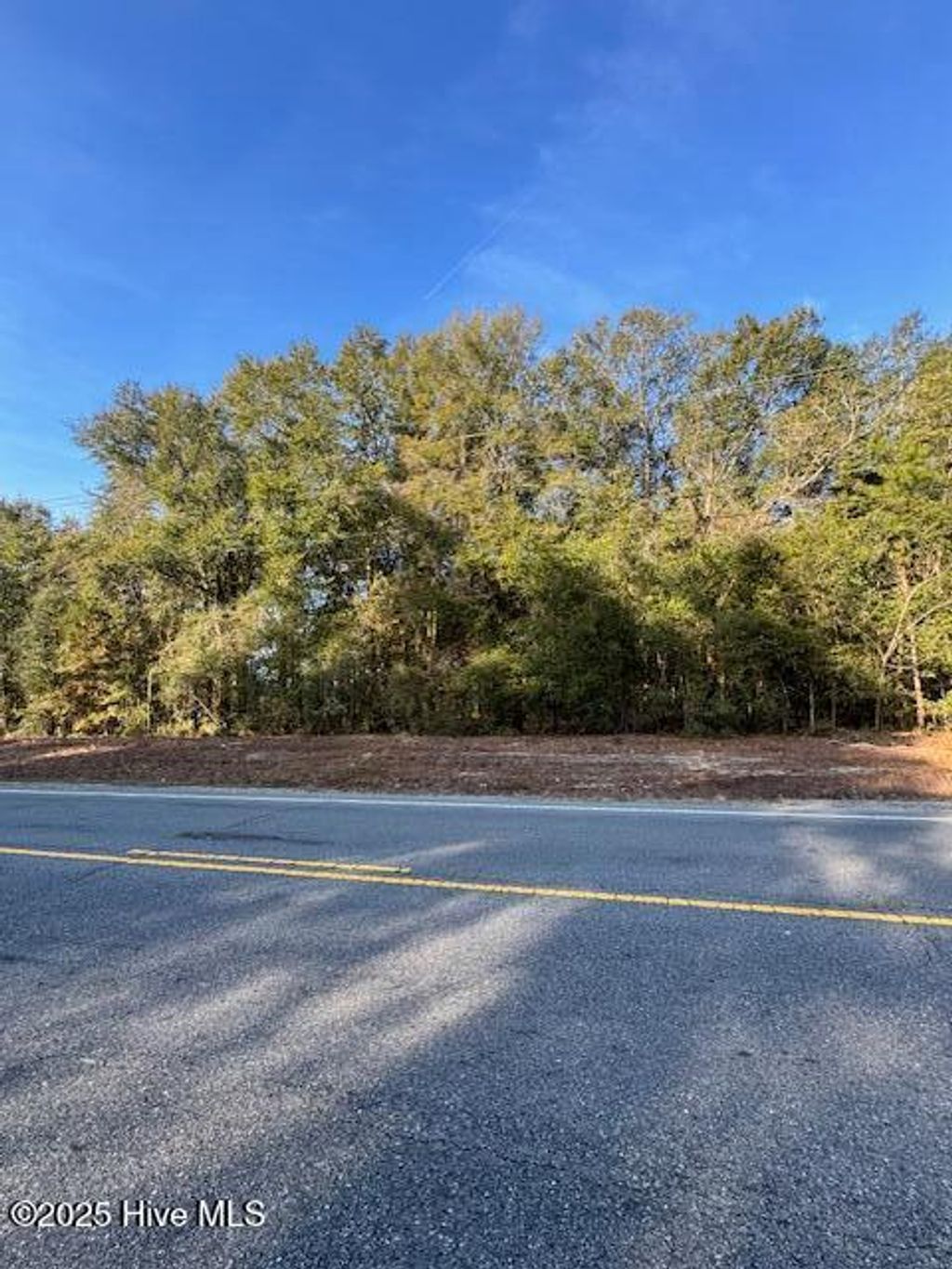 Photo of 0 Garland Highway, Garland, NC 28441 (MLS # 100544855)