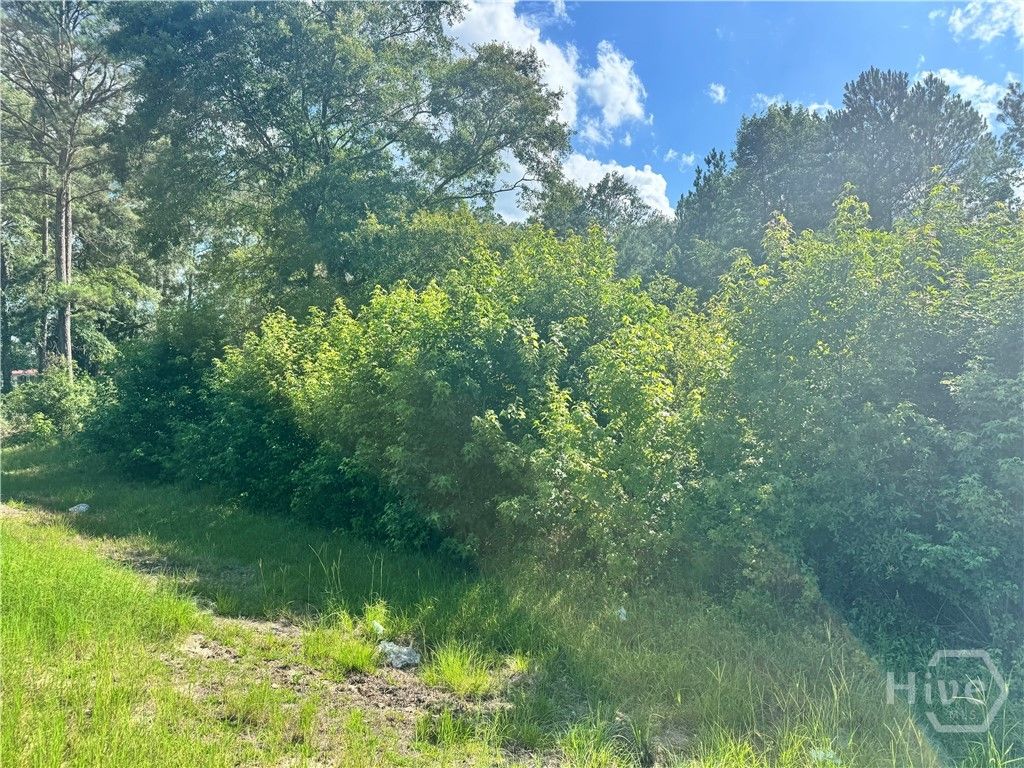 Photo of 0 Second Street, Guyton, GA 31312 (MLS # SA358741)