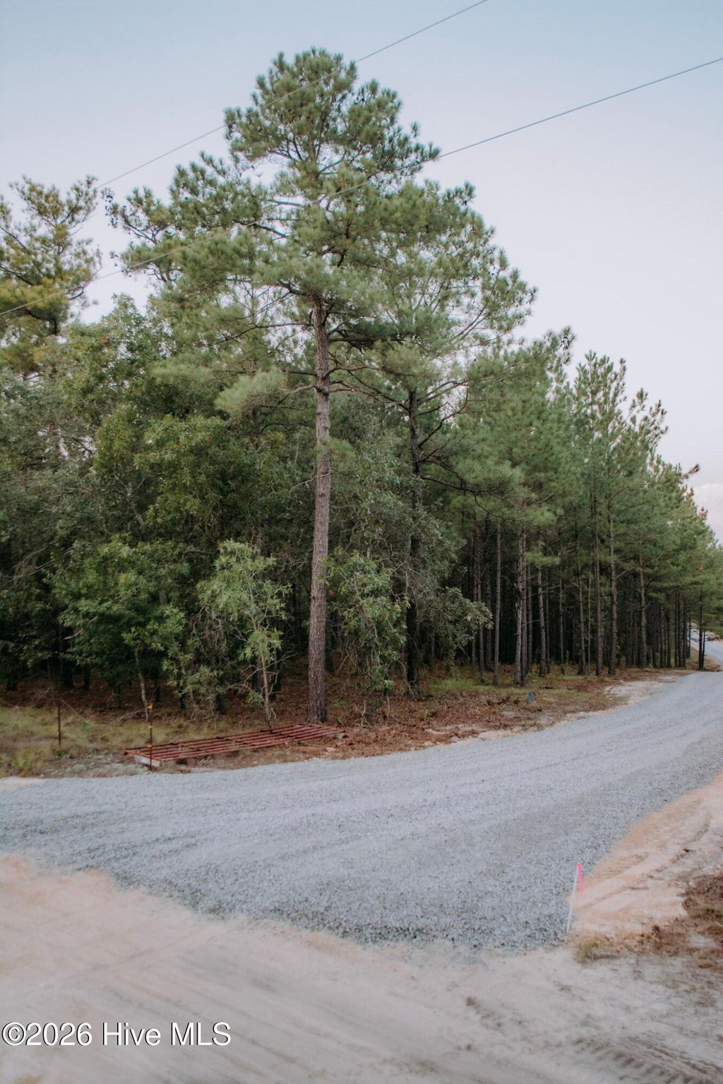 Photo of 1 Nighthawk Loop, Aberdeen, NC 28315 (MLS # 100605535)