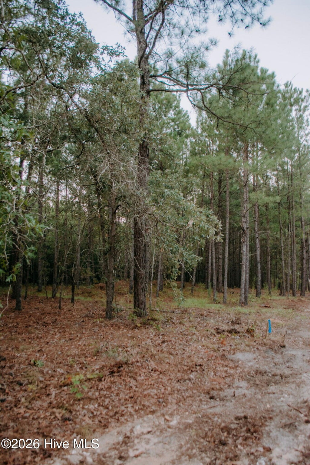 Photo of 1 Nighthawk Loop, Aberdeen, NC 28315 (MLS # 100605535)