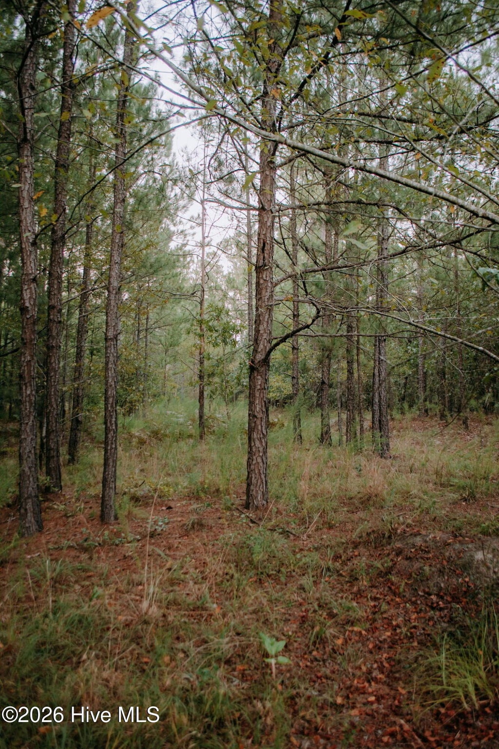 Photo of 1 Nighthawk Loop, Aberdeen, NC 28315 (MLS # 100605535)