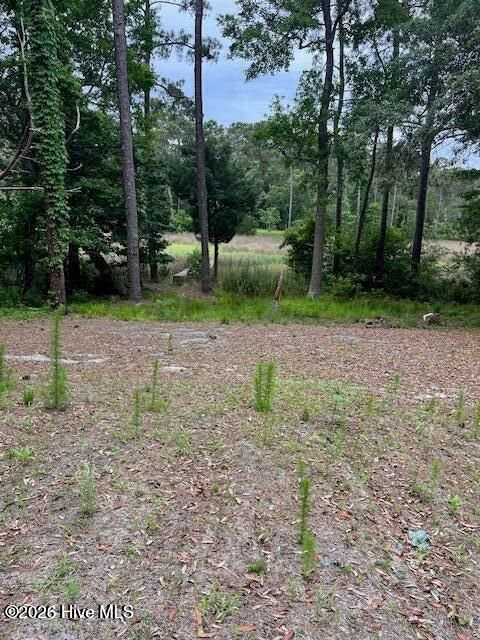 Tiny photo for 2933 Island Drive SE, Bolivia, NC 28422 (MLS # 100556974)