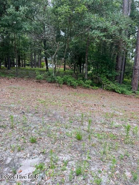 Tiny photo for 2933 Island Drive SE, Bolivia, NC 28422 (MLS # 100556974)