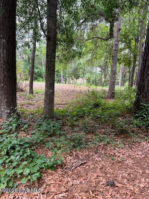 Tiny photo for 2933 Island Drive SE, Bolivia, NC 28422 (MLS # 100556974)