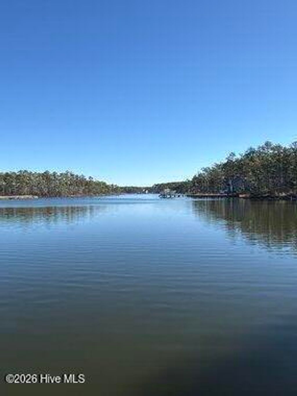 Photo of 8 Pitch Kettle Court, Belhaven, NC 27810 (MLS # 100550381)