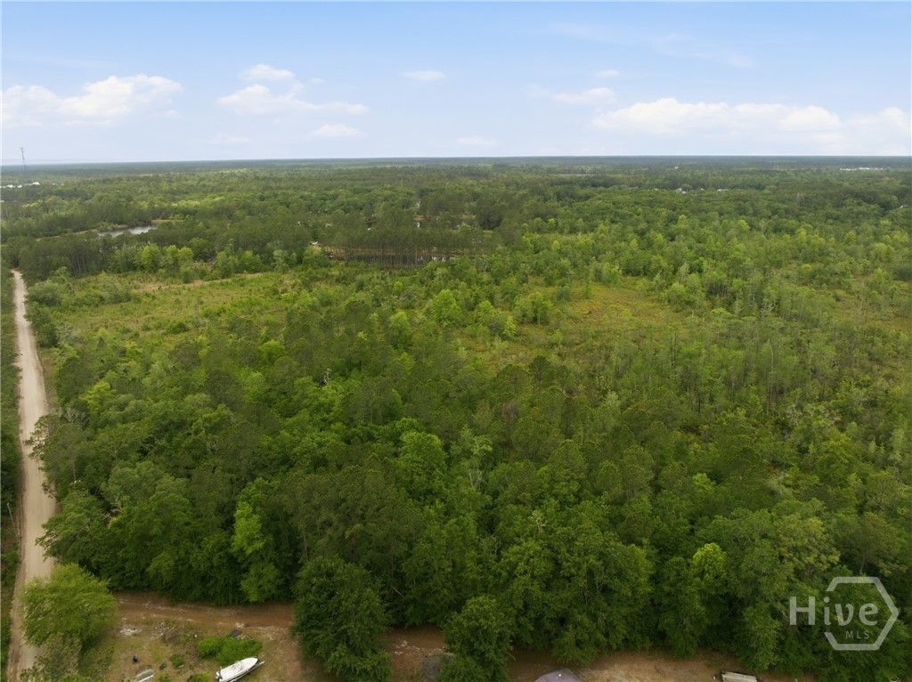 Photo of 0 Williamson Road, Allenhurst, GA 31301 (MLS # SA355039)