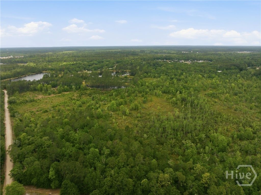Photo of 0 Williamson Road, Allenhurst, GA 31301 (MLS # SA355039)