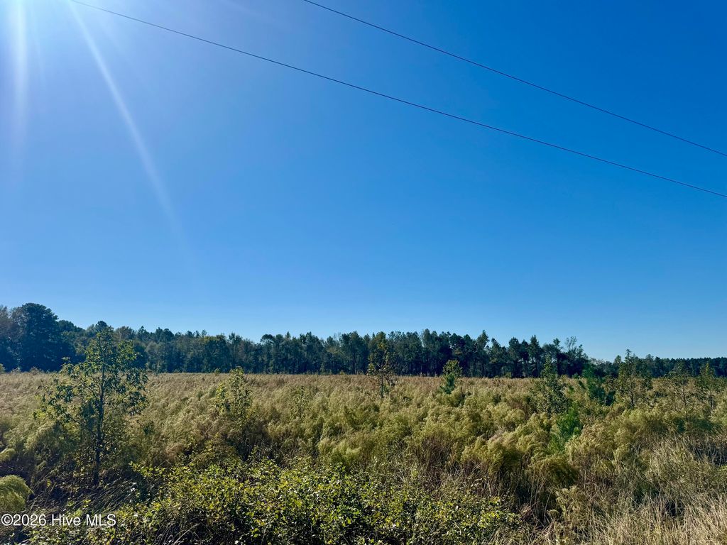 Photo of 0 Old Fayetteville Road, Garland, NC 28441 (MLS # 100560570)