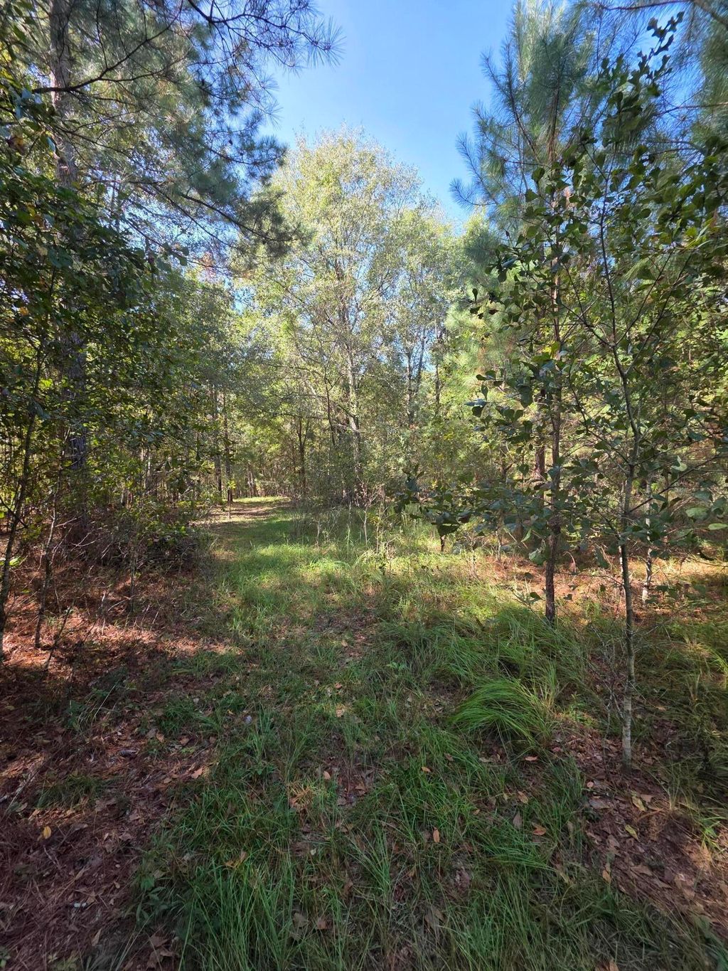 Photo of 0 Beaver Dam Road, Perkins, GA 30822 (MLS # 548282)
