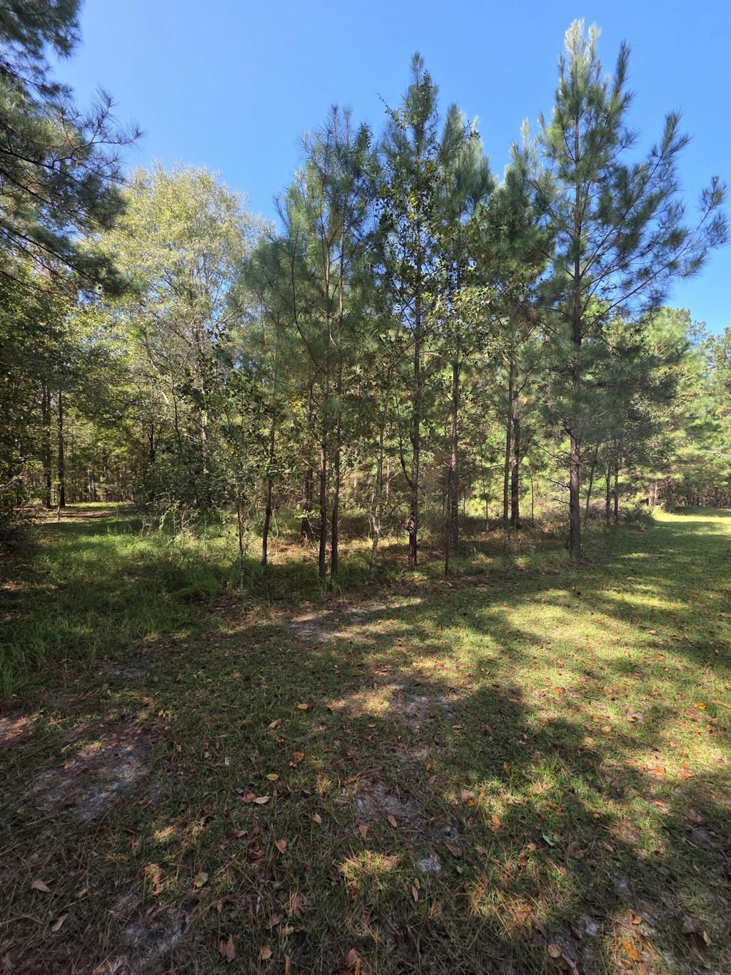Photo of 0 Beaver Dam Road, Perkins, GA 30822 (MLS # 548282)