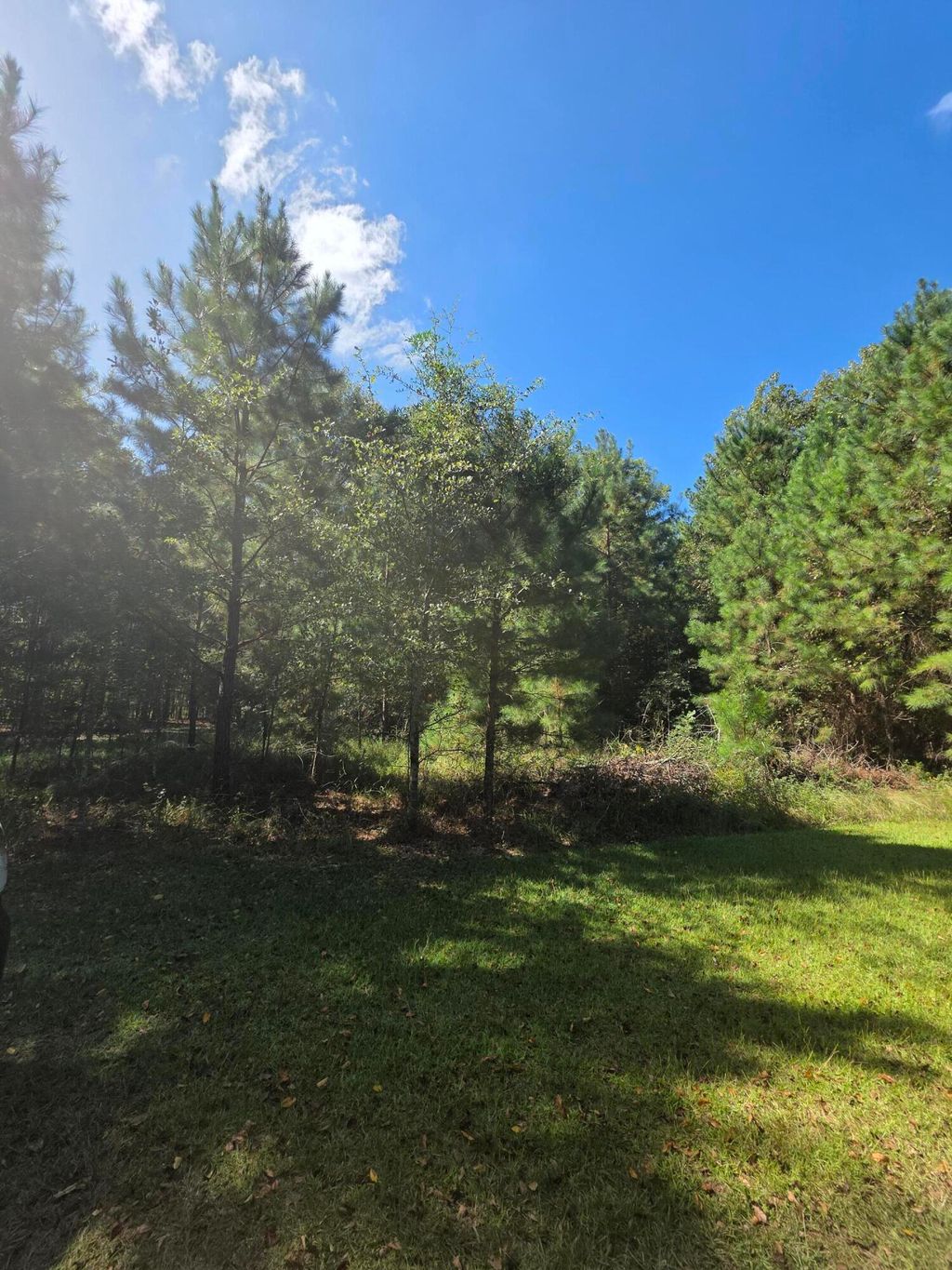 Photo of 0 Beaver Dam Road, Perkins, GA 30822 (MLS # 548282)