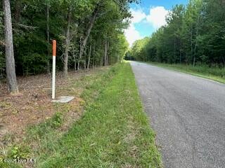 Photo of 0 Old Chapell Ferry Road, Edgefield, SC 29824 (MLS # 100612612)